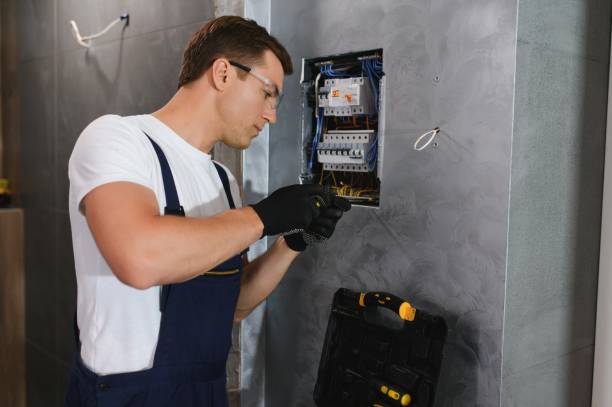 Best Ceiling Fan Installation Electrician  in Apple Valley, MN